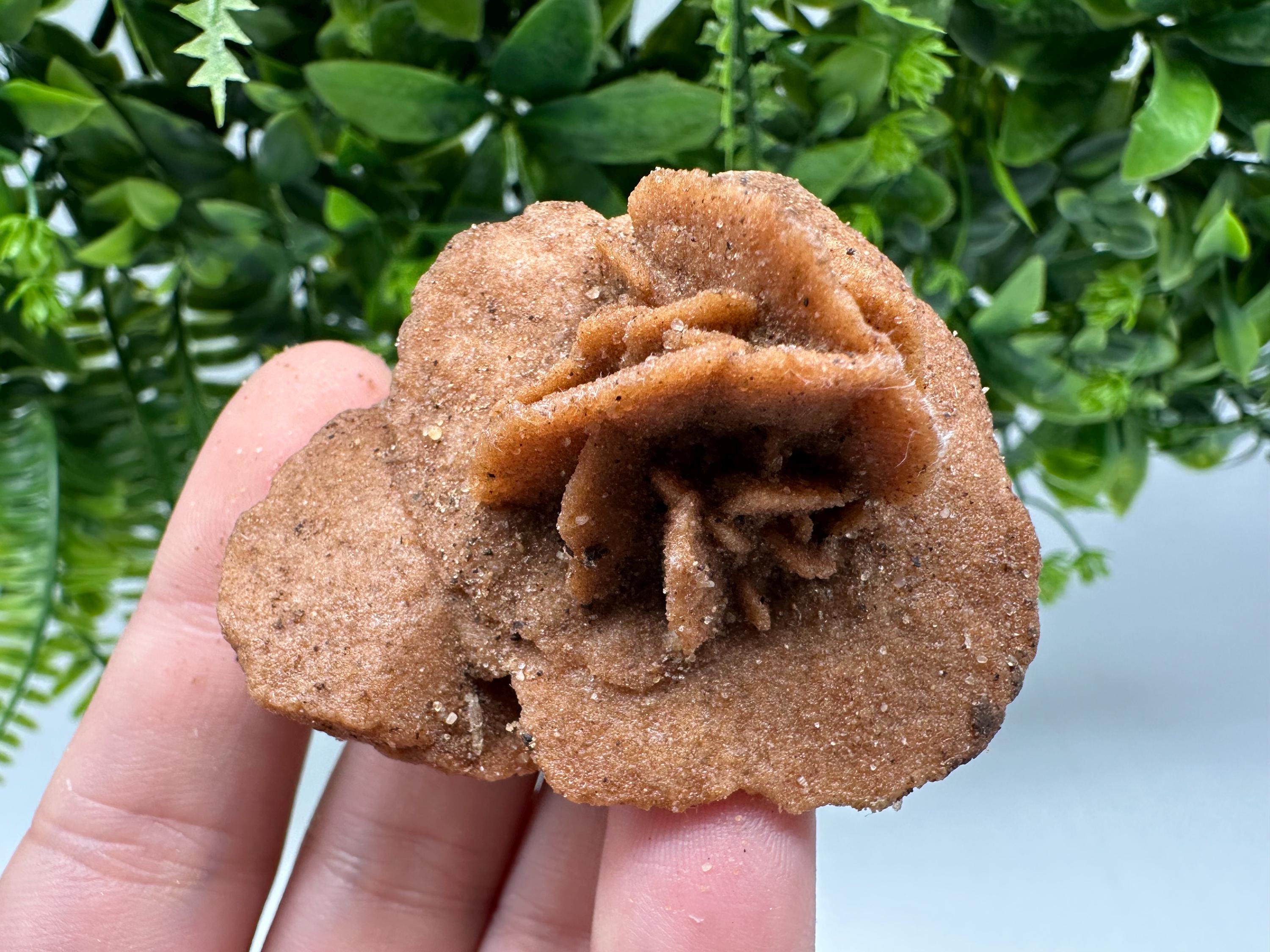 Desert Rose Crystal: Root Chakra Healing Selenite Stone