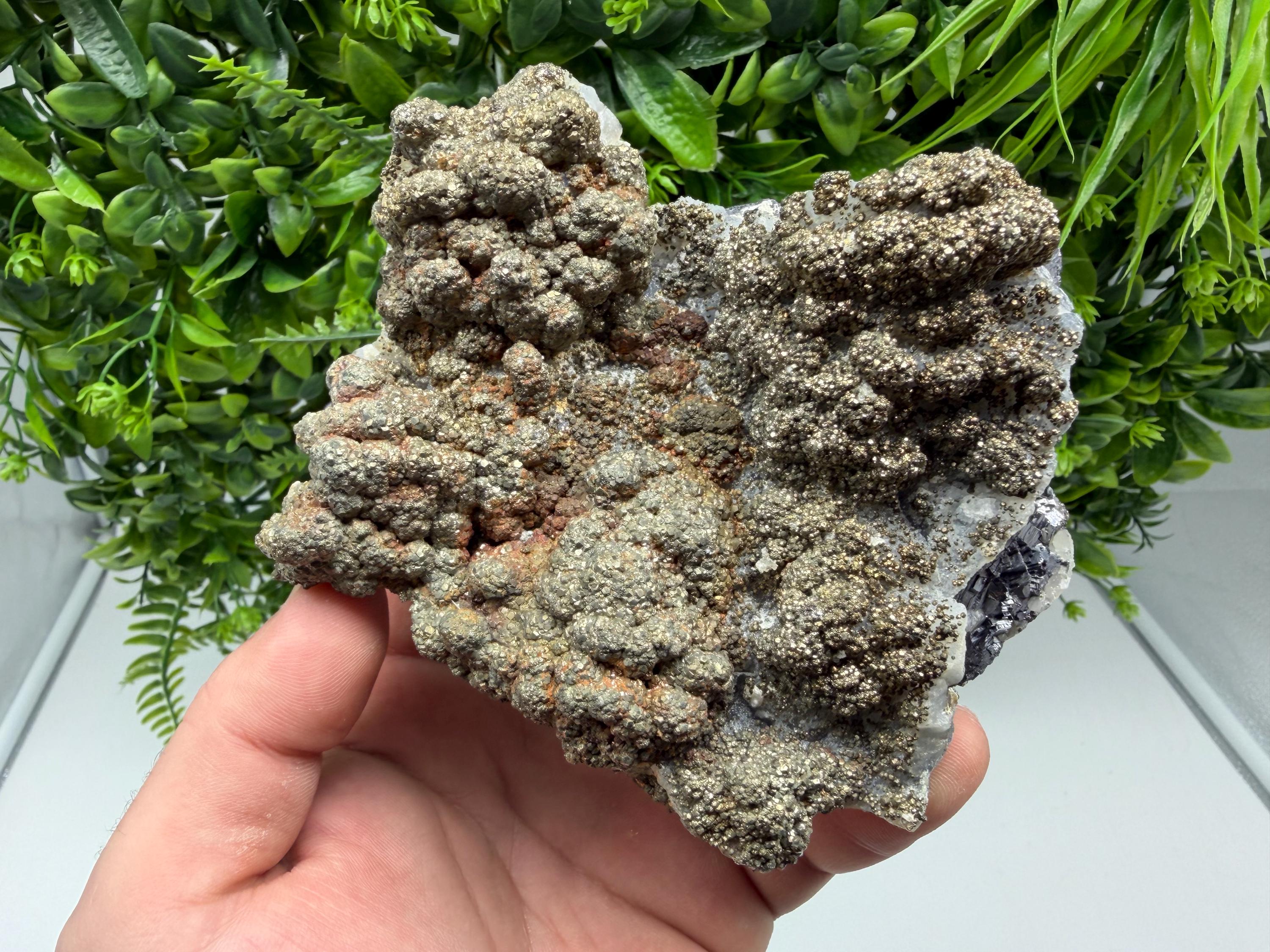 Marcasite on Chalcedony, Androvo Mine, Bulgaria