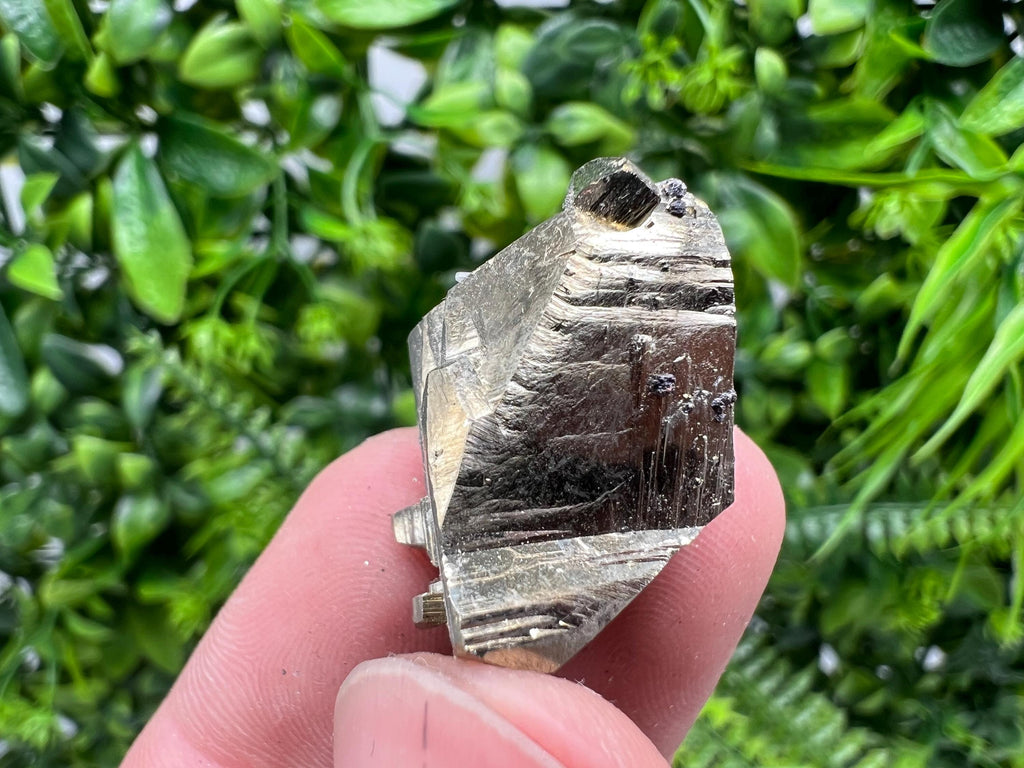 Rare Crystallization Pyrite Cluster, Borieva Mine, Bulgaria
