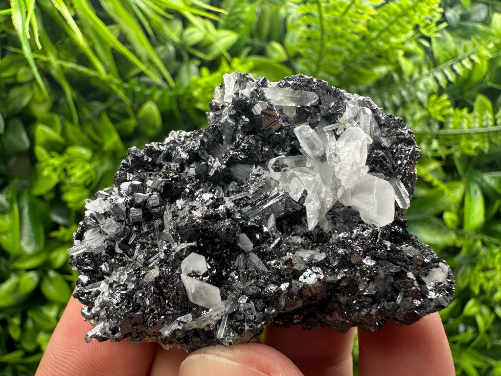 Black Sphalerite Cluster: Natural Mineral Souvenir, Borieva Bulgaria