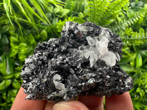 Black Sphalerite Cluster: Natural Mineral Souvenir, Borieva Bulgaria