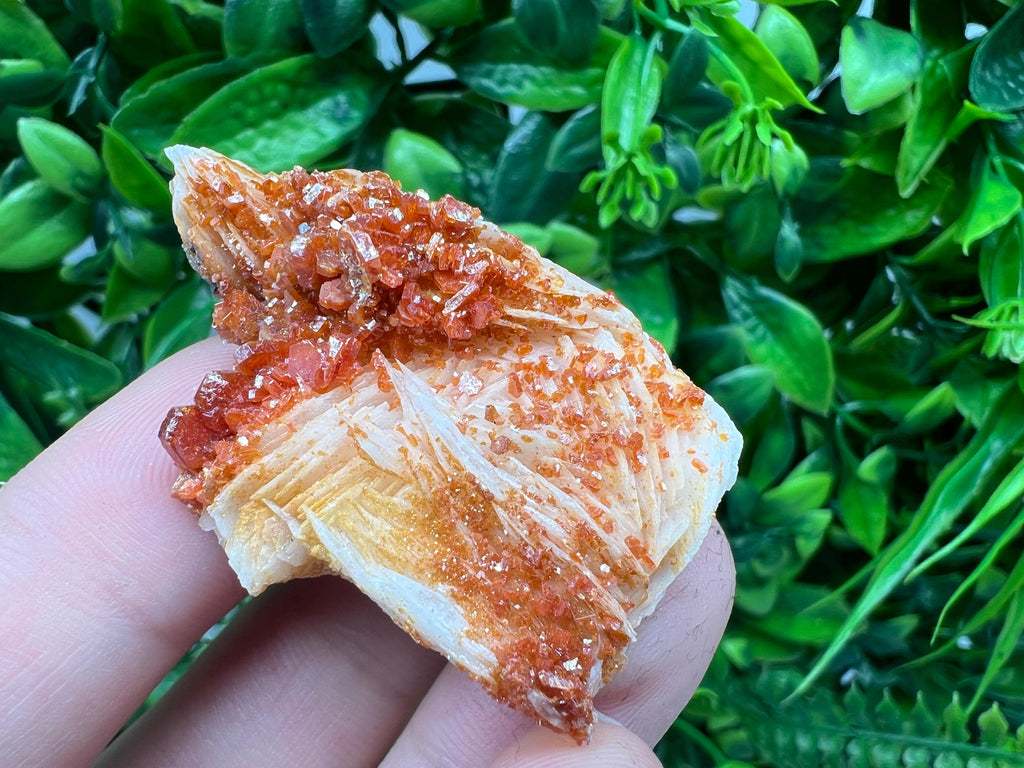 Red Vanadinite on Barite Specimen, Morocco Crystal Mineral