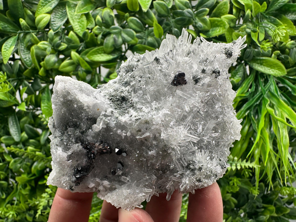 Sphalerite on Green Quartz, Borieva Mine Mineral Specimen