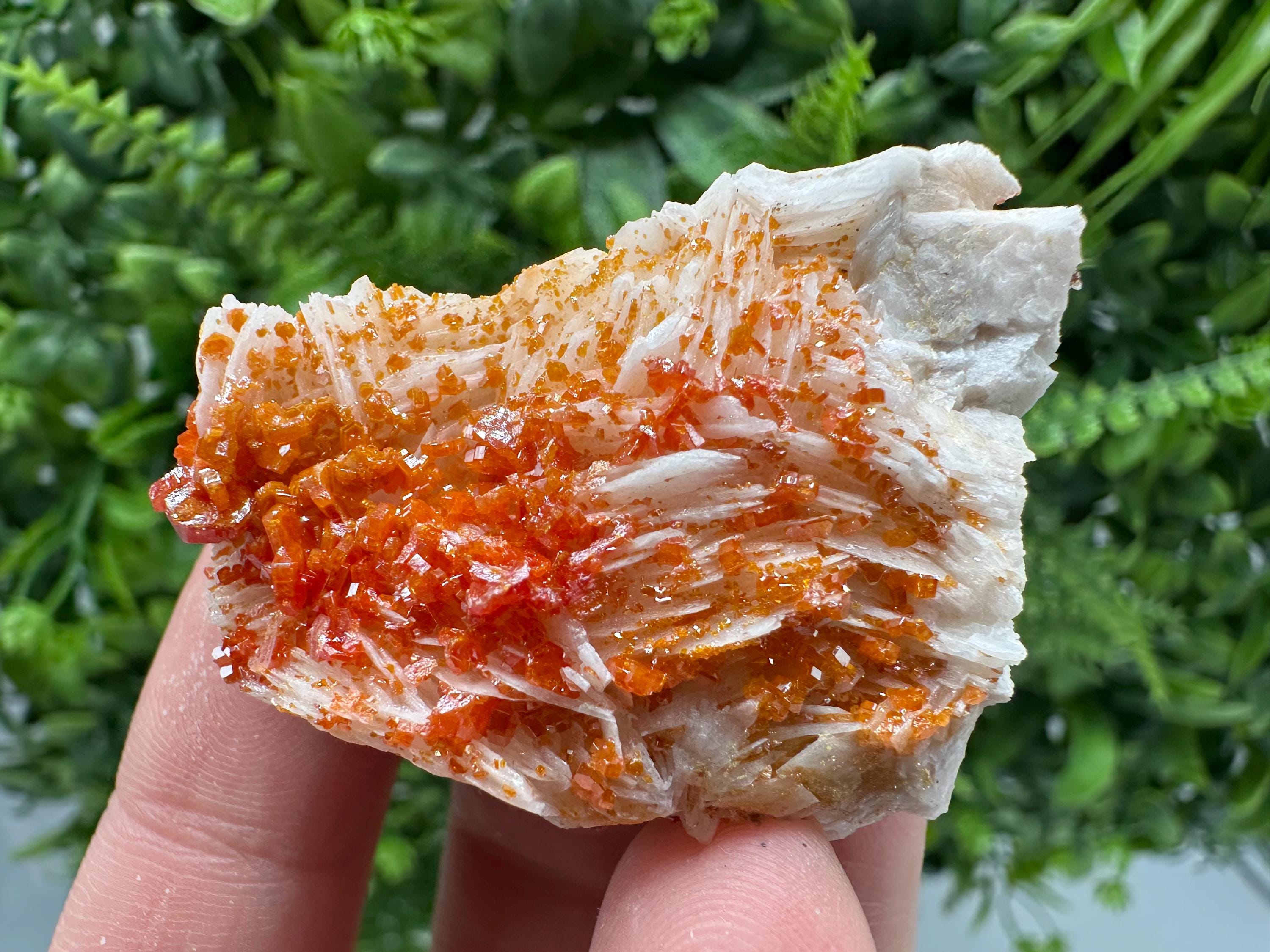 Red Vanadinite Crystal Cluster on Barite, Morocco Mineral Specimen