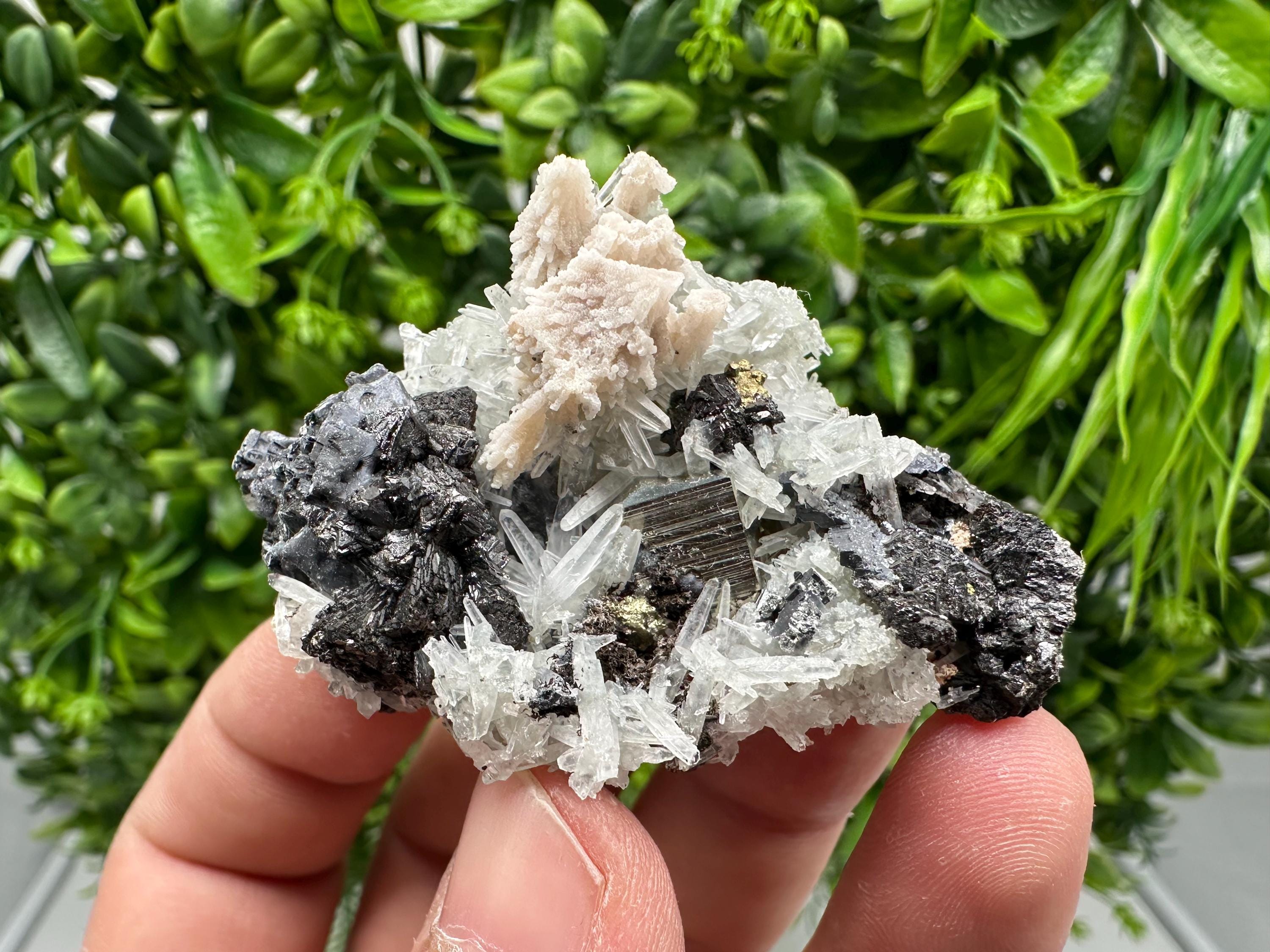Golden Pyrite,Sphalerite from 9th September mine,Madan,Bulgaria,natural,collectible mineral specimen,home decor crystal,Pyrite cluster,