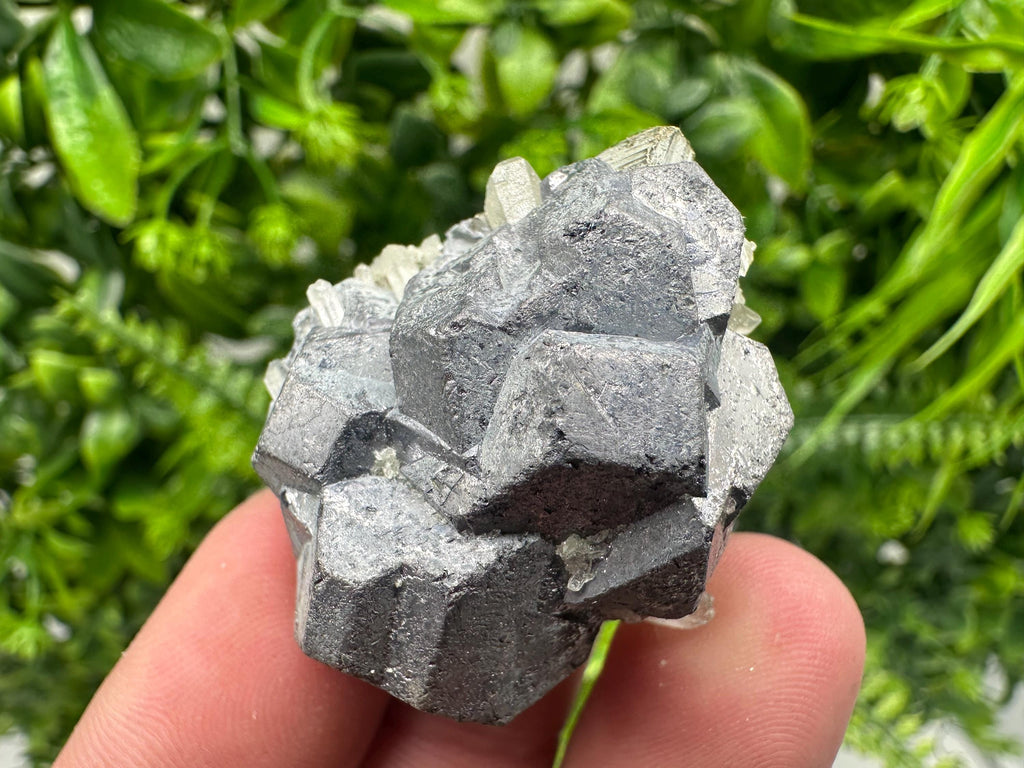 Galena on Pyrite Mineral Specimen, Borieva Mine, Bulgaria