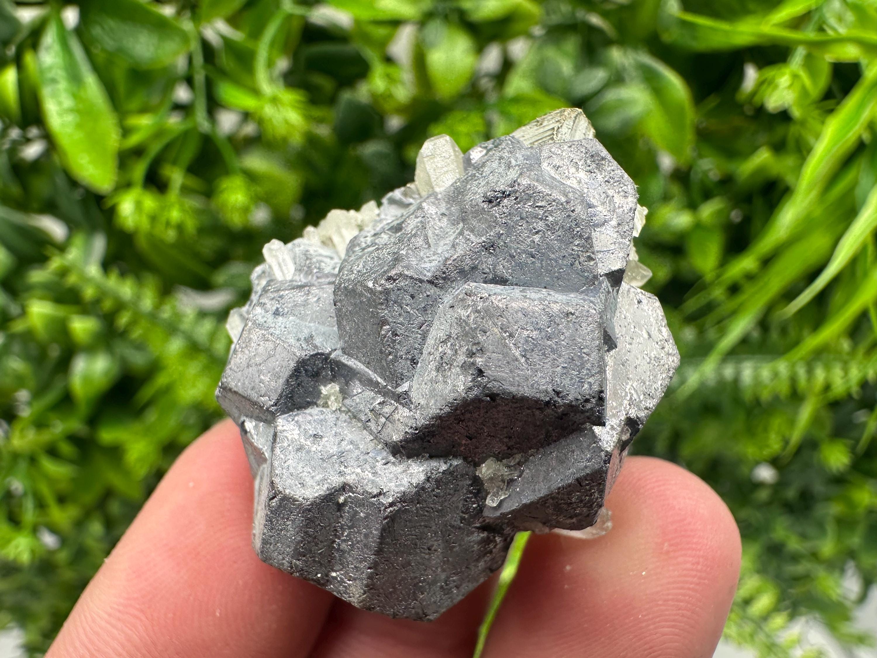 Galena on Pyrite Mineral Specimen, Borieva Mine, Bulgaria