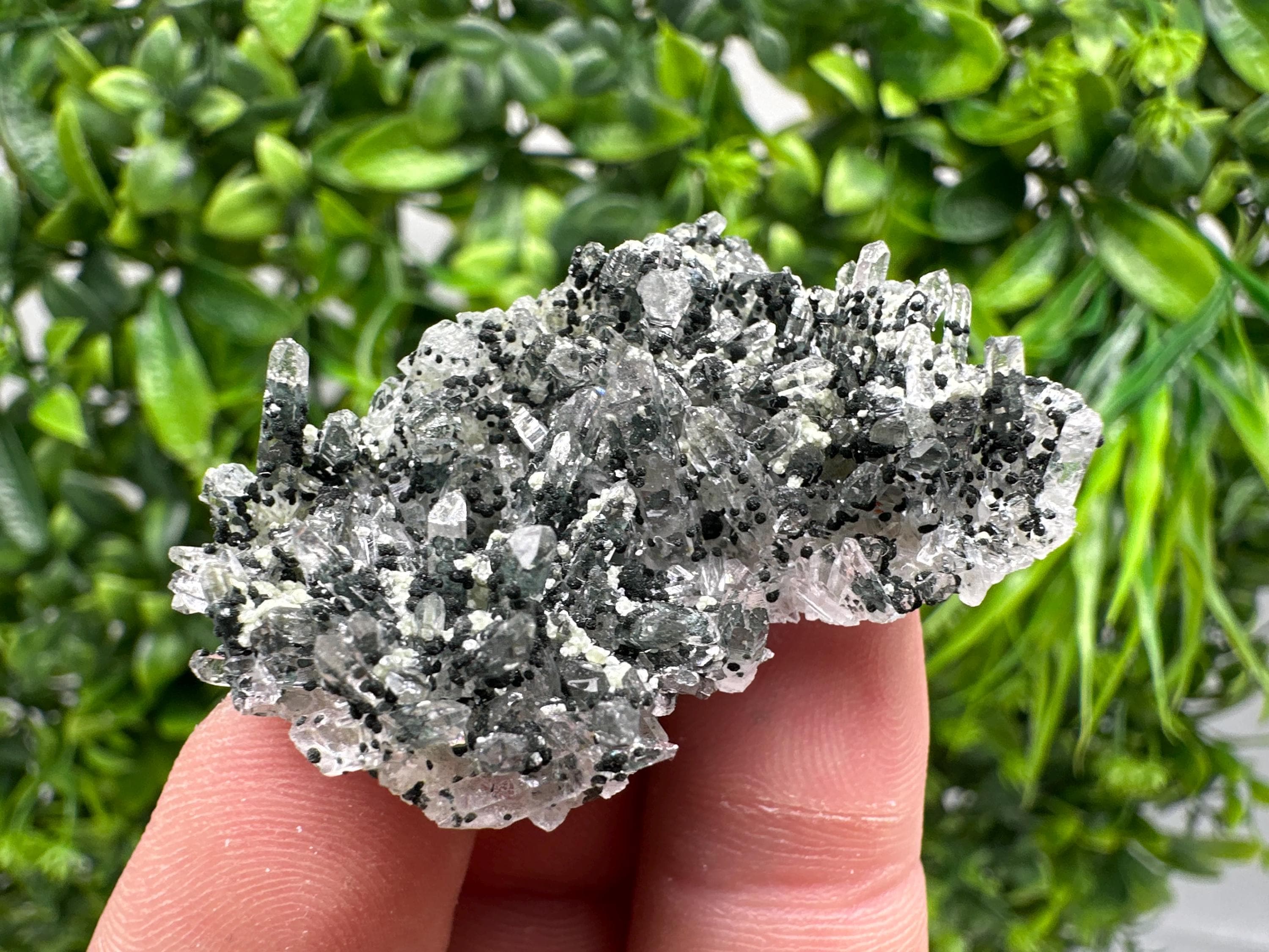 Chlorite Quartz Mineral Specimen, Borieva Mine, Bulgaria