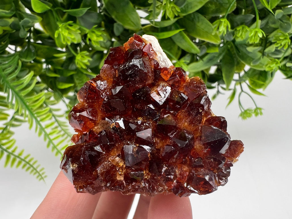Brazilian Citrine Crystal Cluster with Hematite Inclusions