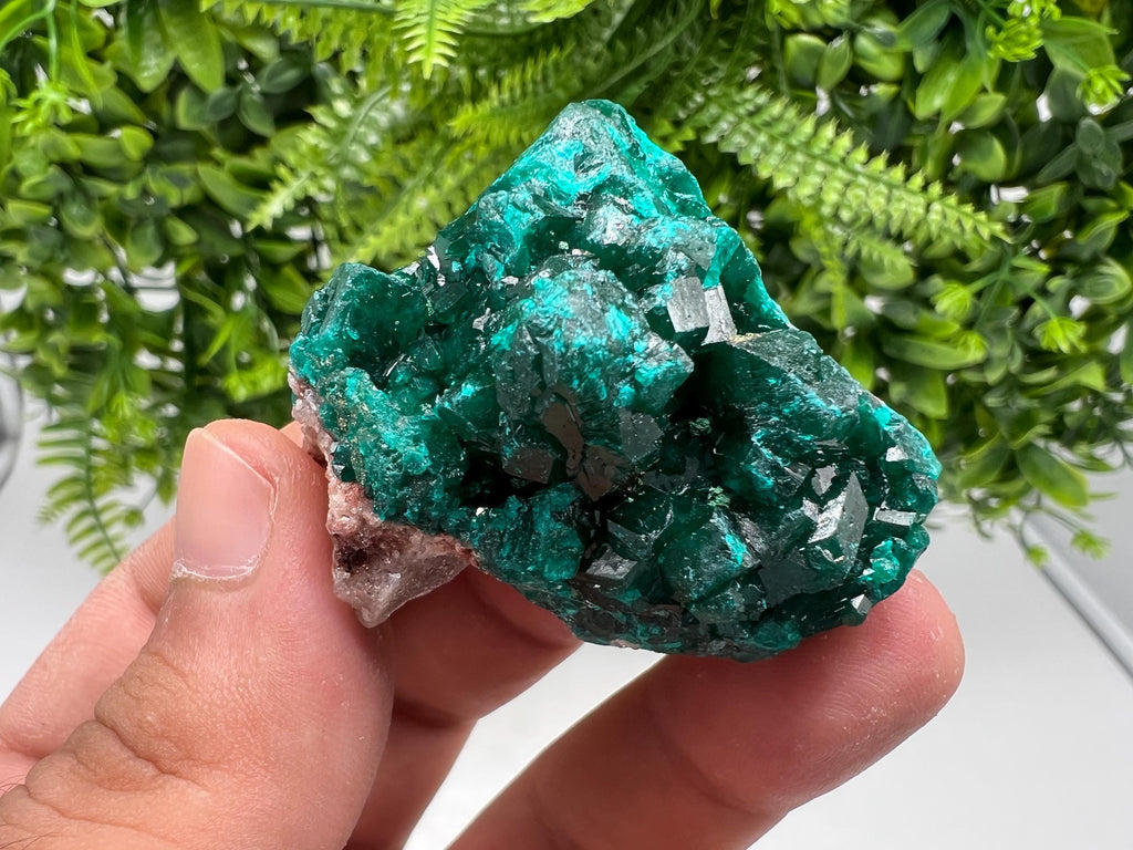 Stunning Green Dioptase from Sanda Hills,Mindouli,Pool Department,Mindouli District,Congo,green Dioptase,Dioptas Crystal,Dioptase collecting