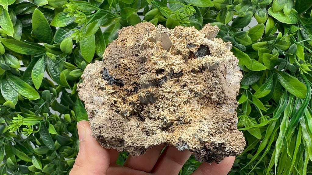 Wonderful and Rare Calcite on Matrix,from 9th September mine,Bulgaria,natural minerals souvenir,gift,home decor,collection Calcite cluster