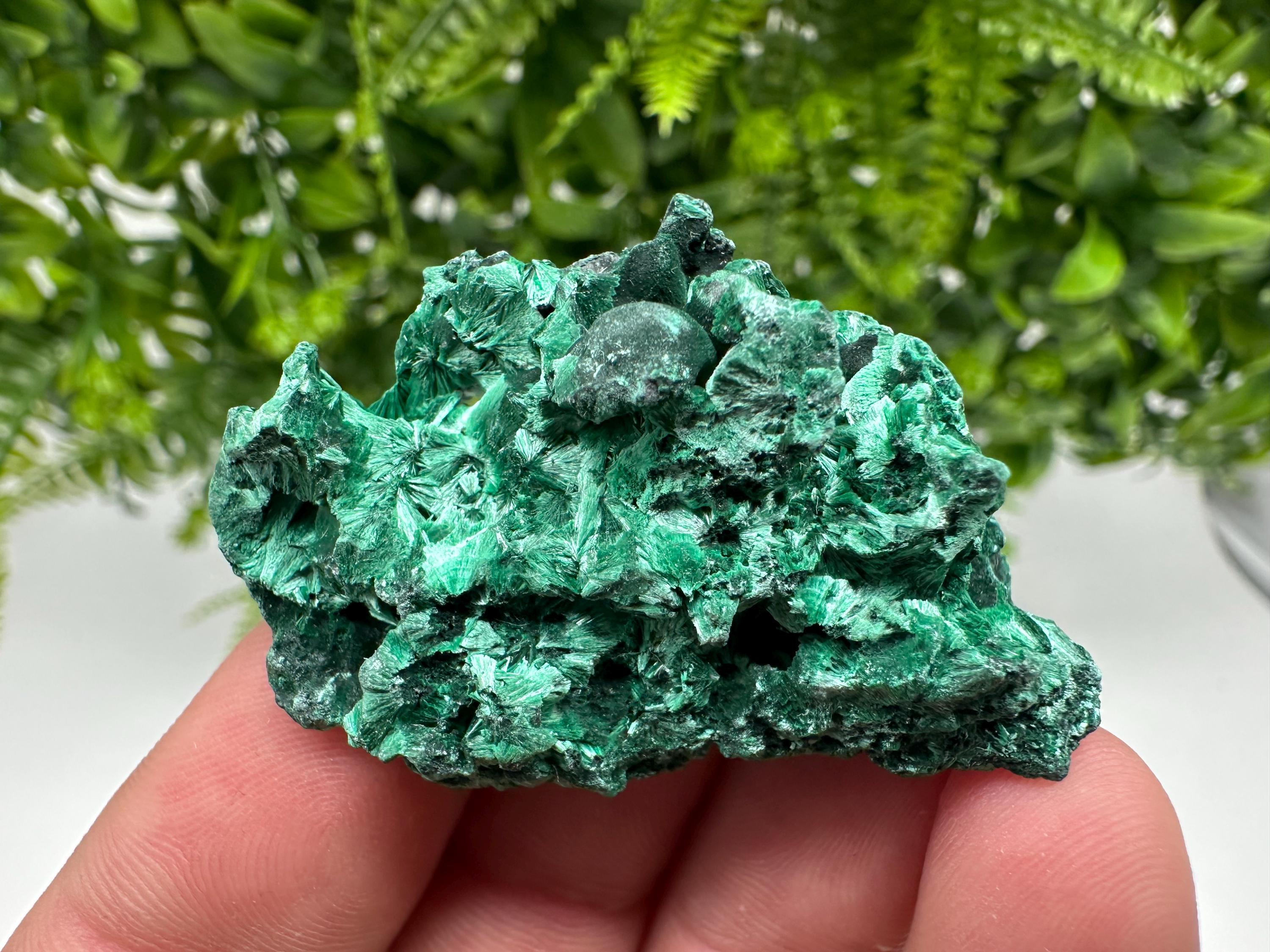 Malachite Crystal from Congo,Minerals,Crystals from Congo,Green Malachite, Malachite,Natural Malachite,Malachite Stone,Chakra, Specimens