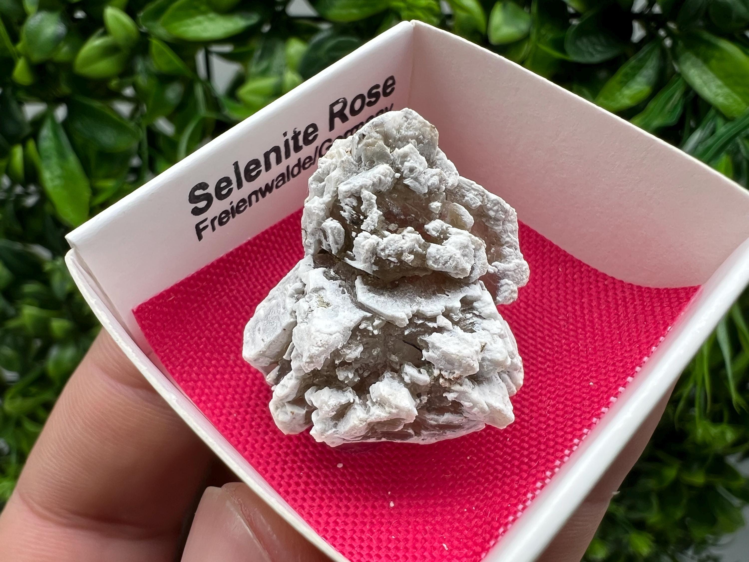 Selenite Rose Freienwalde,Germany natural crystal minerals,specimen,clusters,souvenirs,home decor,gift minerals,rare stone,collection