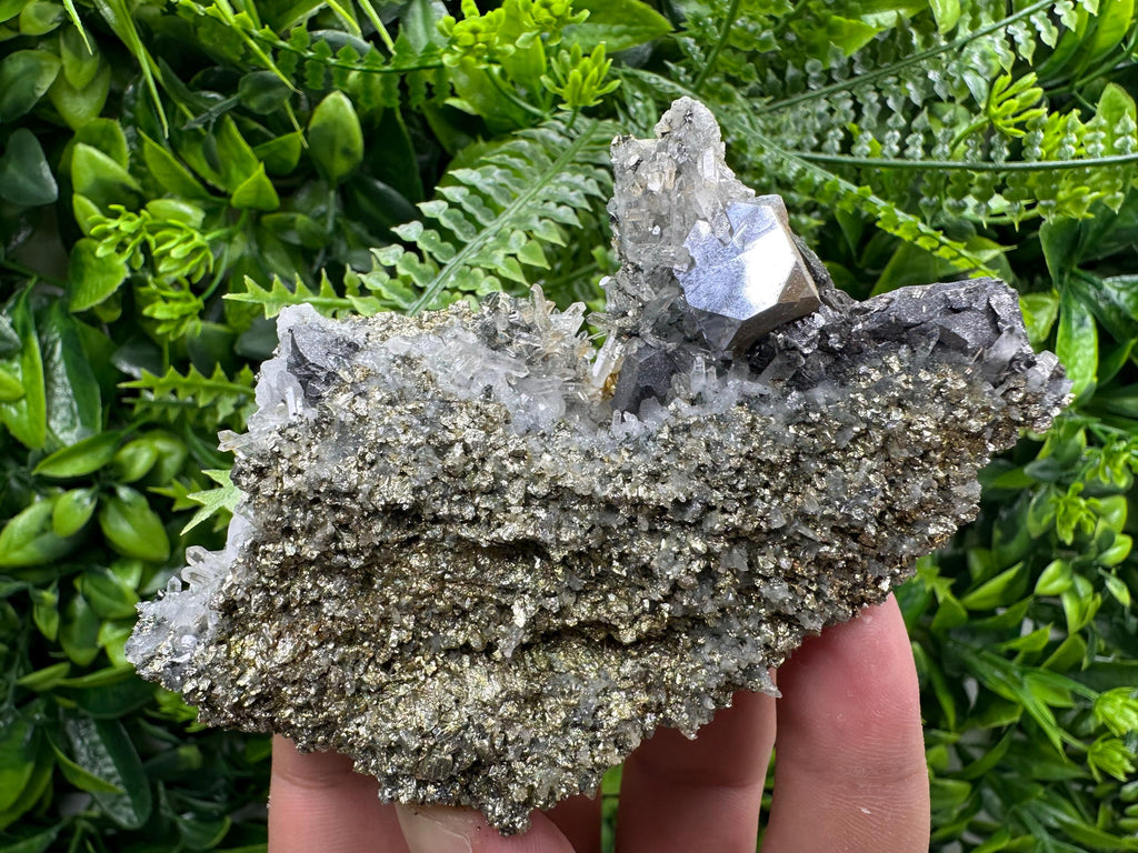 Galena with Quartz on Pyrite, Borieva Mine Mineral Specimen