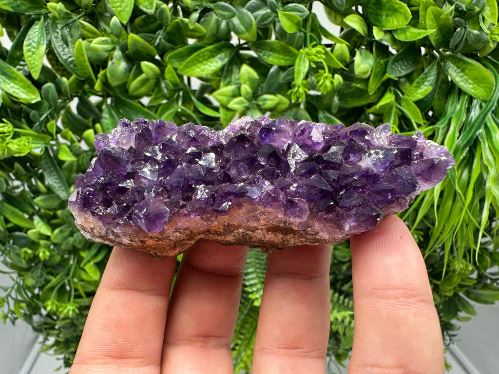 Uruguay Amethyst Crystal: Purple Quartz Phantom, Energy Decor