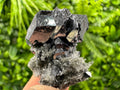 Galena on Needle Quartz, Borieva Mine Crystal