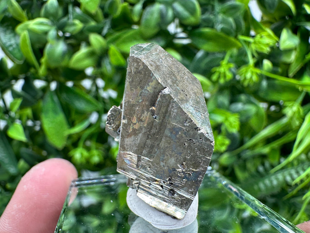 Rare Rainbow Pyrite Crystal Cluster - Borieva Mine, Bulgaria