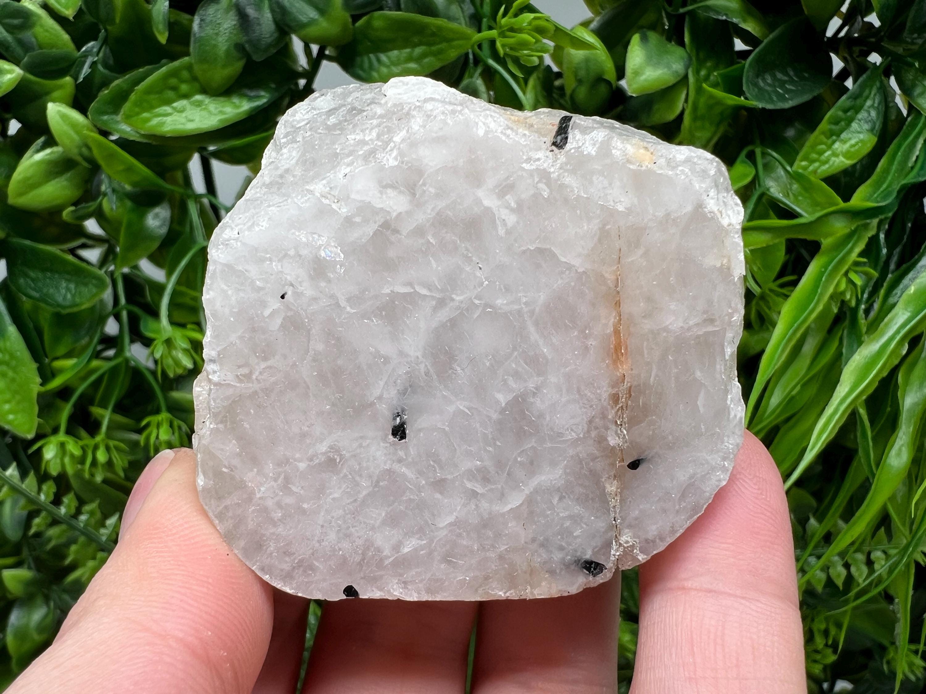 Black Tourmaline in Quartz Polished Slab