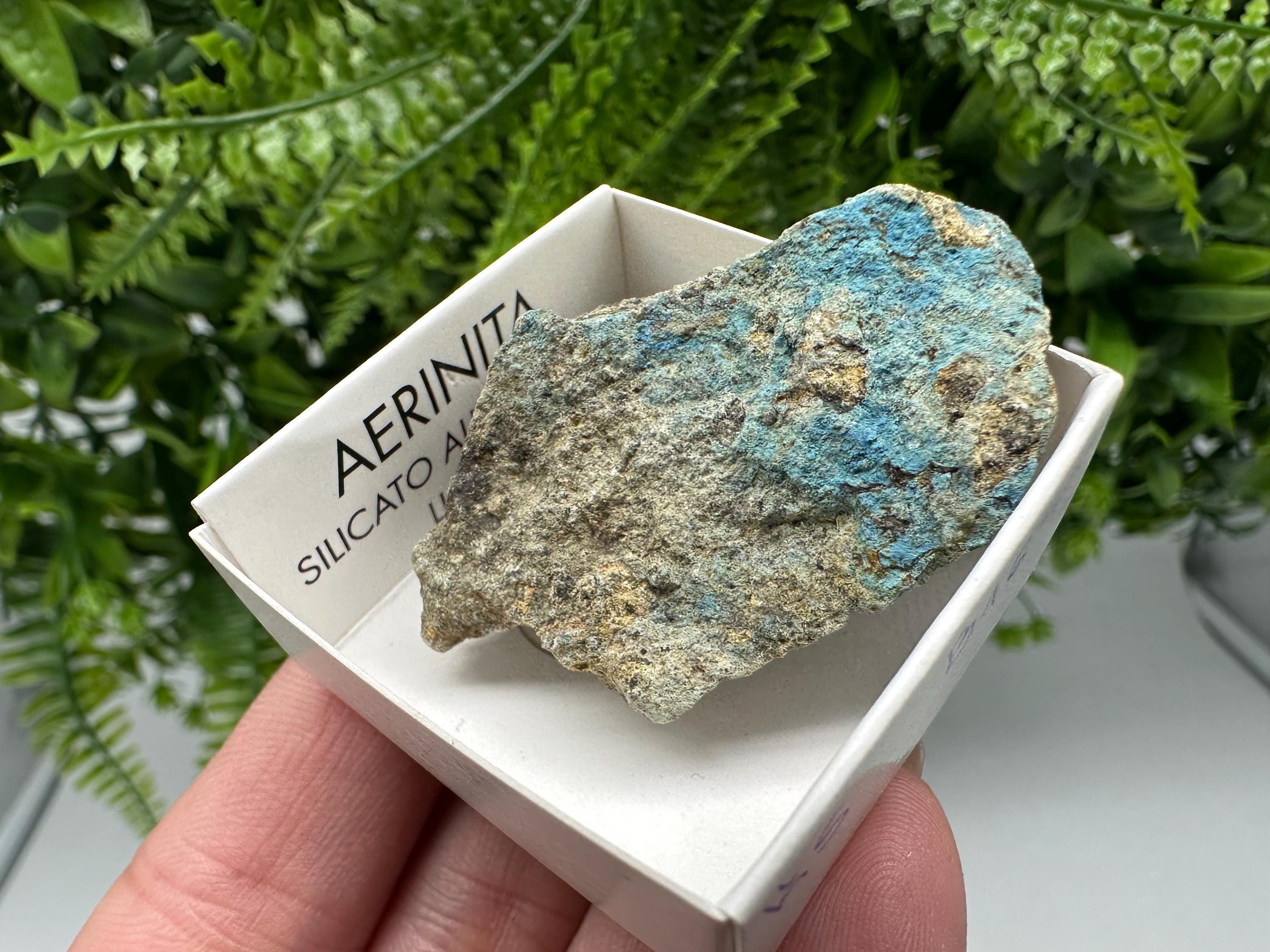Rare Raw Aerinite Mineral Specimen: Lleida, Spain Crystal