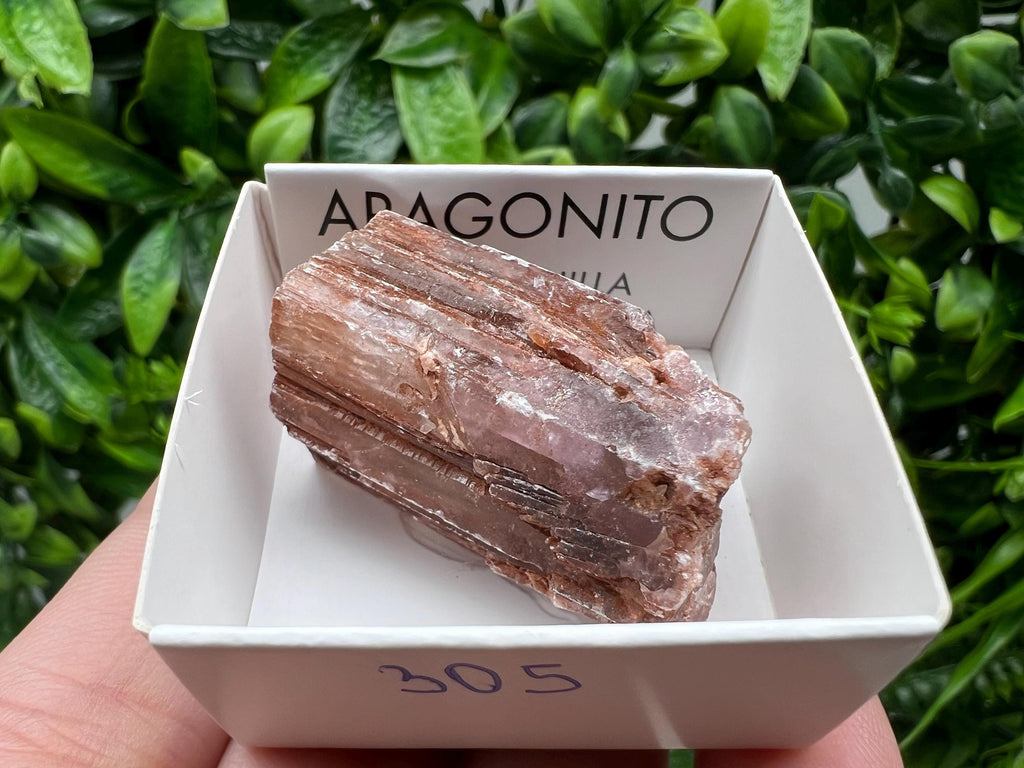 Amazing Aragonite from Spain,Aragonite crystal,cluster,natural,mineral,specimen,Purple Aragonite,Spanish Aragonite,Mineralcollection