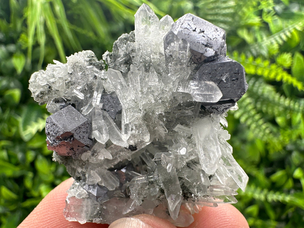 Galena on Green Quartz with Chlorite, Borieva Mine Mineral Specimen