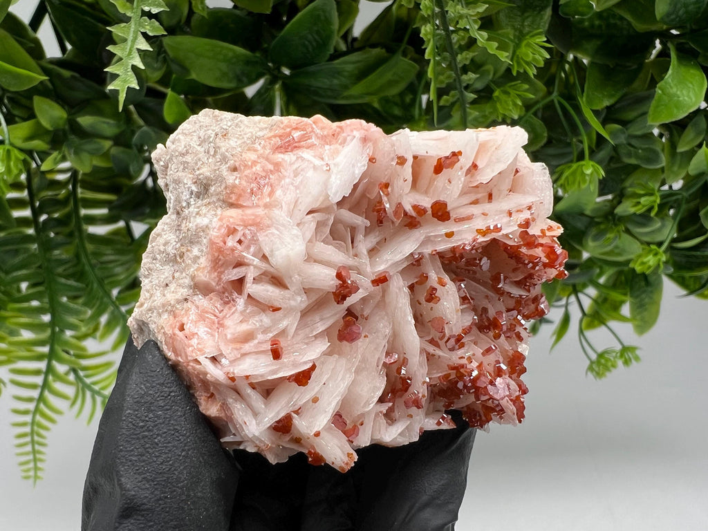 Red Vanadinite on Barite from Marocco,crystal minerals Speciment cluster Vanadinite crystal Vanadinite Geology Vanadinite cluster minerals