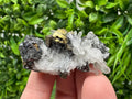 Wonderful Sphalerite Chalcopyrite on  Quartz whit Galena feom 9 th September mine,Bulgaria,natural,collection mineral specimen,gift