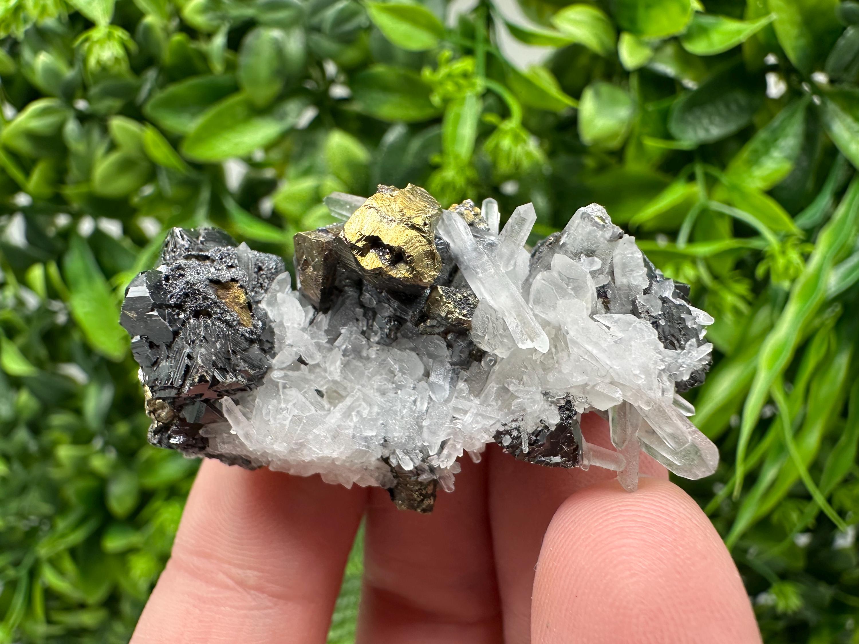 Wonderful Sphalerite Chalcopyrite on  Quartz whit Galena feom 9 th September mine,Bulgaria,natural,collection mineral specimen,gift
