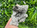 Pyrite on Green Quartz Mineral Specimen from Borieva Mine, Bulgaria