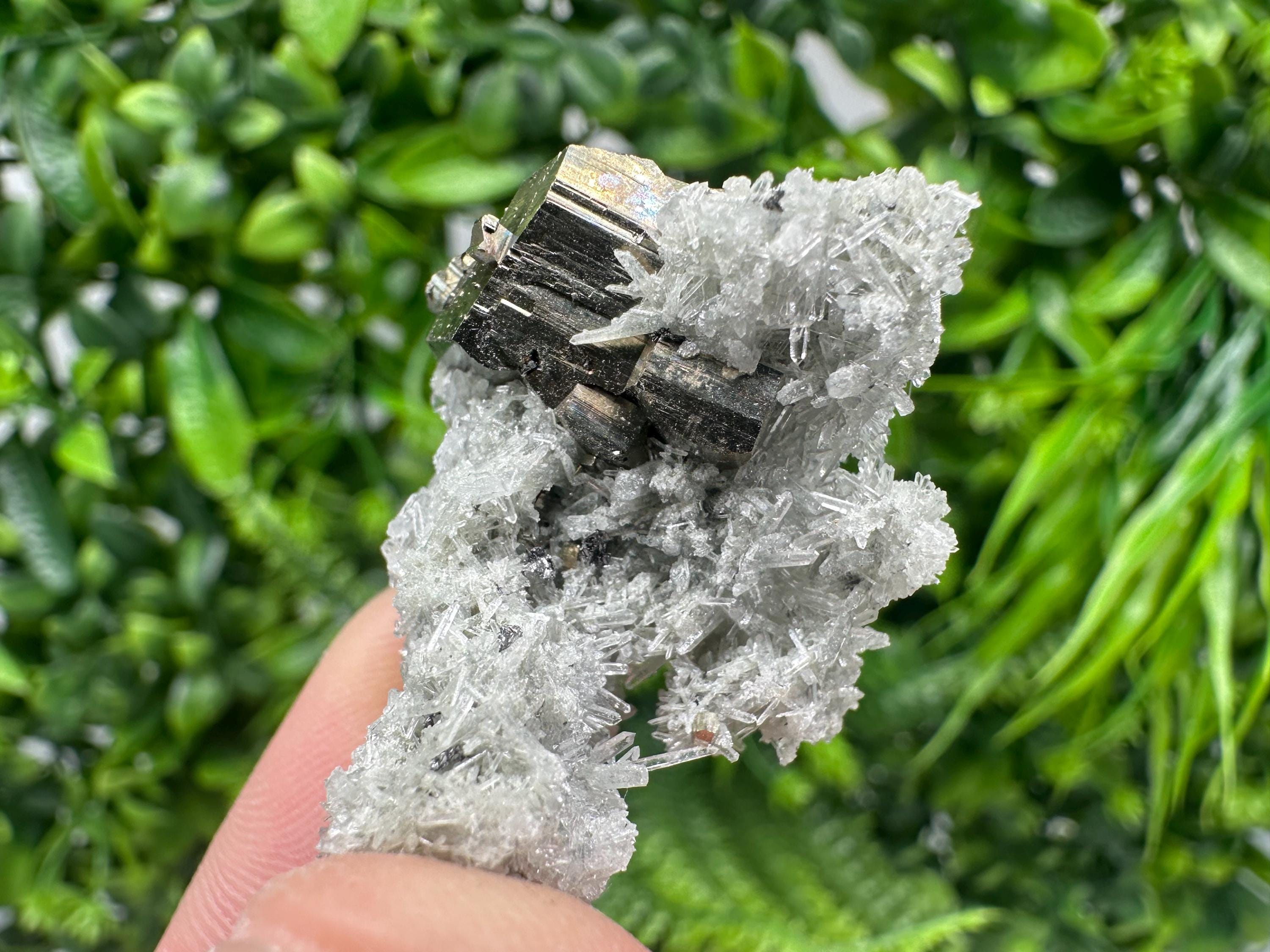 Pyrite on Green Quartz Mineral Specimen from Borieva Mine, Bulgaria