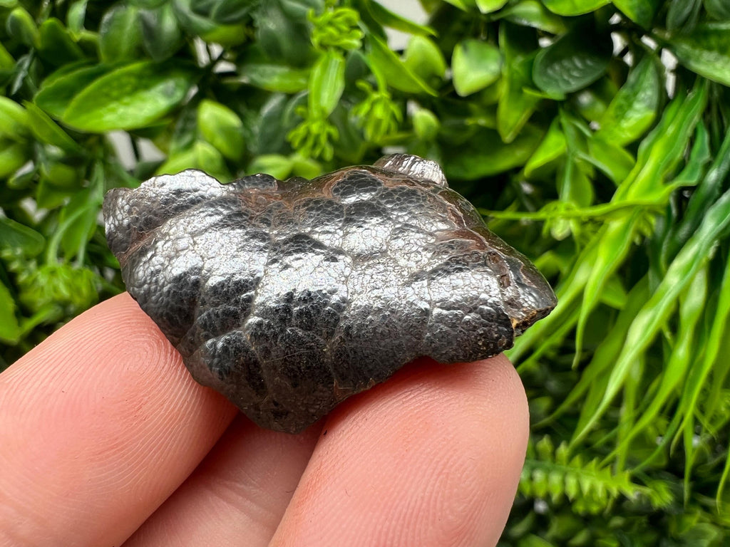 Botryoidal Black Hematite Specimen: Moroccan Crystal, Reiki Chakra Stone