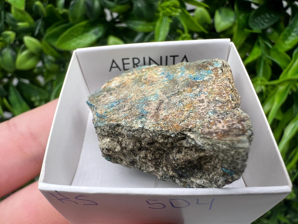 Rare Raw Aerinite Mineral Specimen: Lleida, Spain Collection Crystal