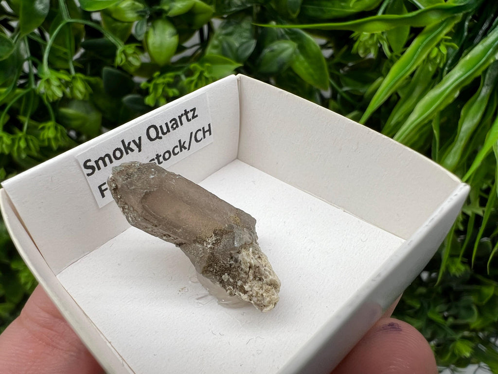 Rare Fedenstock Smoky Quartz, Swiss Mineral Specimen