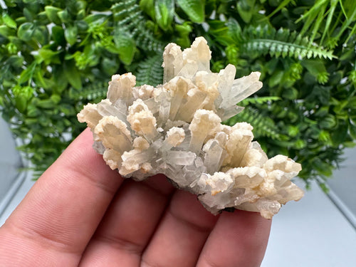 Calcite on Green Quartz: Djurcovo Mine, Bulgaria Healing Crystal