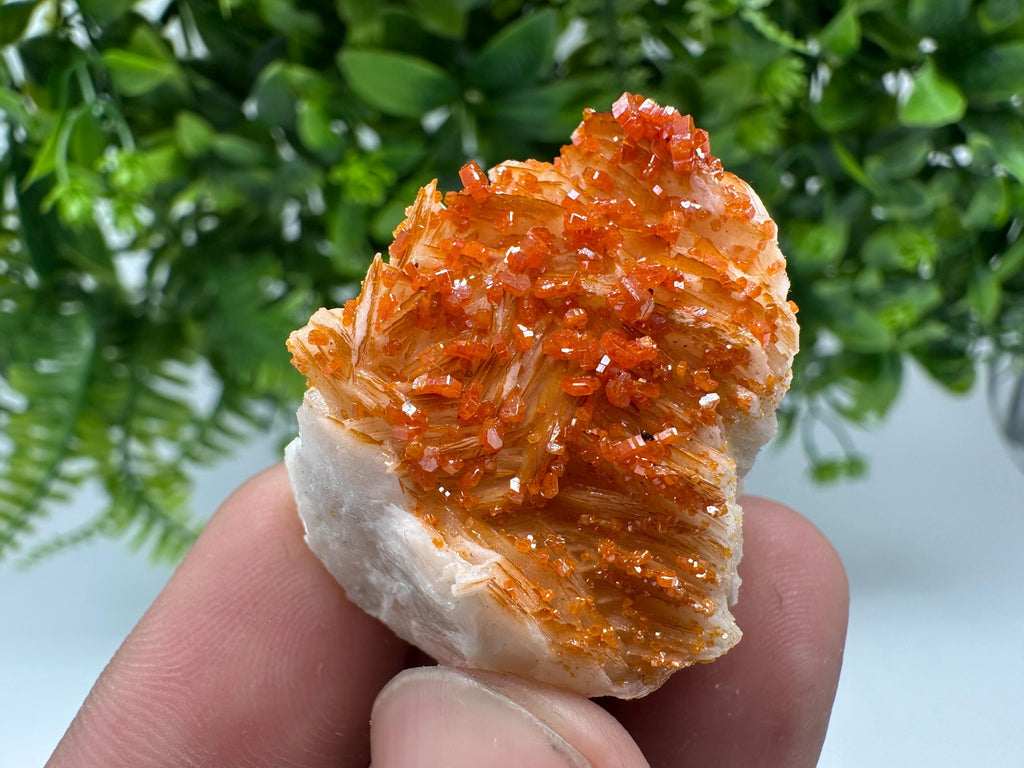 Red Vanadinite on Barite from Marocco,crystal minerals Speciment cluster Vanadinite crystal Vanadinite Geology Vanadinite cluster minerals