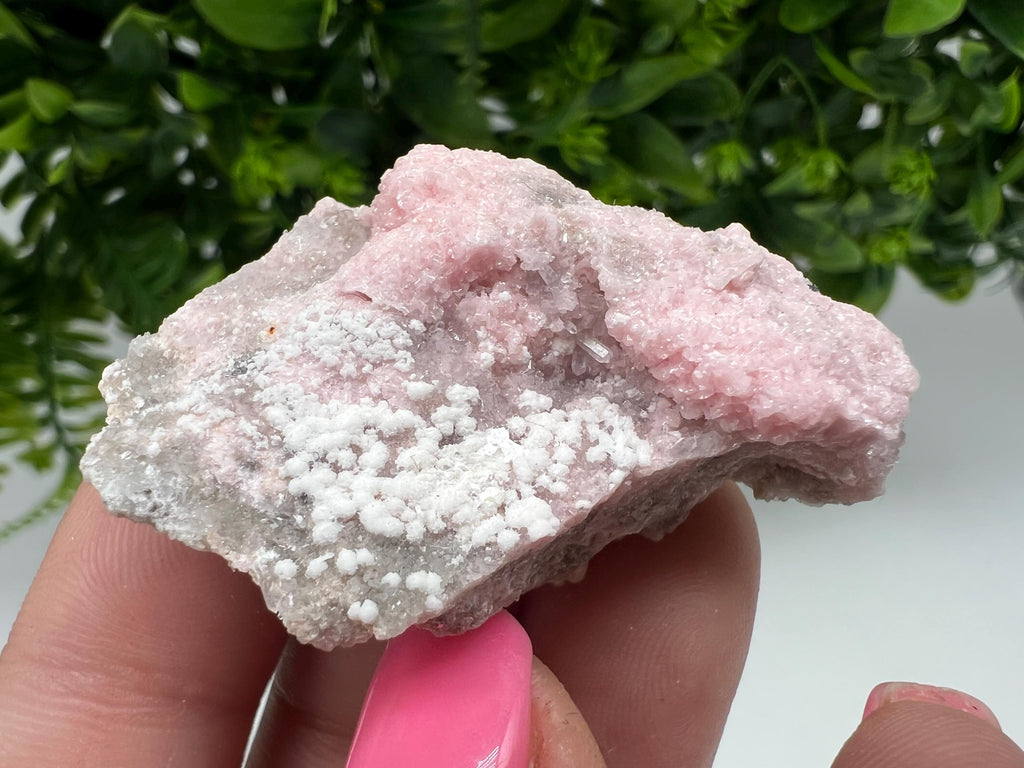 RARE Rhodochrosite with White Calcite, Starnica Mine, Bulgaria