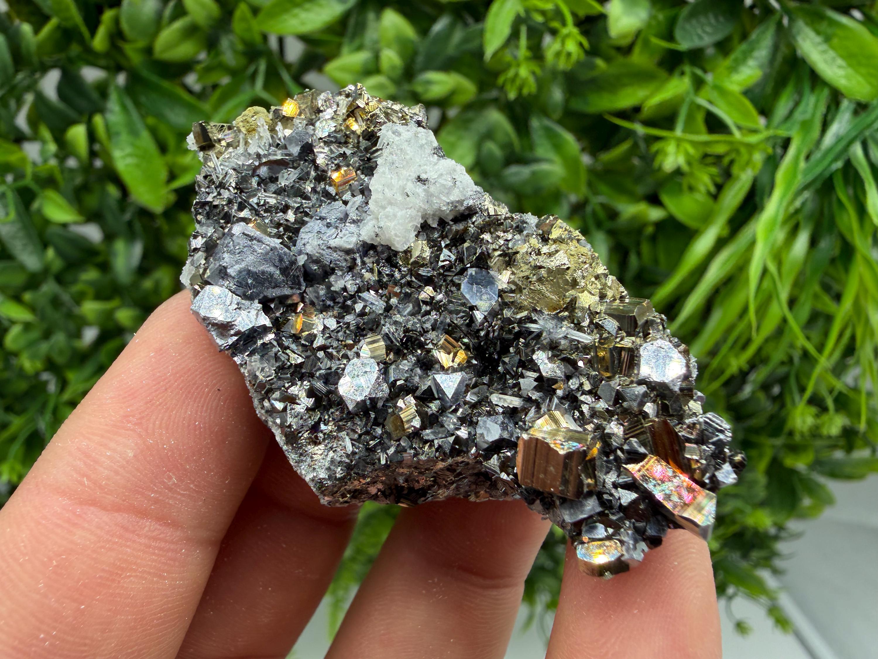 Pyrite Sphalerite Quartz  Mineral Specimen, Krushev dol Mine