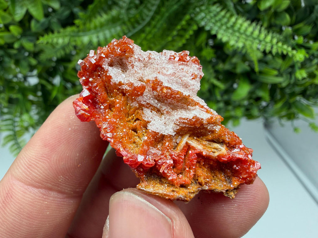 Red Vanadinite Crystal Cluster on Barite, Morocco Mineral Specimen