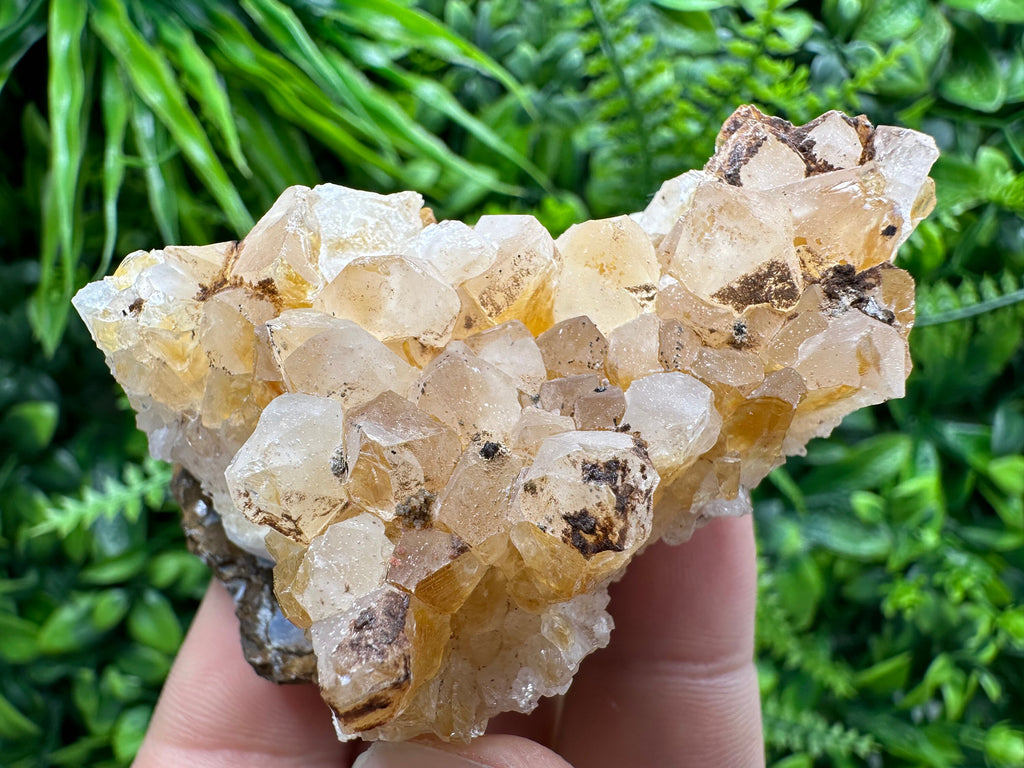 Citrine Crystal Cluster with Hematite Inclusions - Brazil