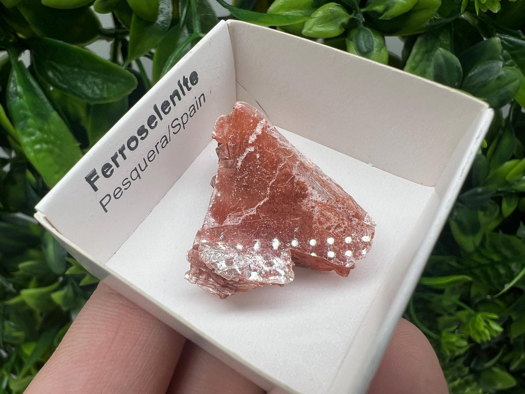 Rare Ferroselenite Crystal Specimen: La Pesquera, Spain (3/3 cm
