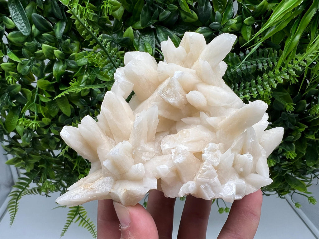 Calcite on Green Quartz: Djurcovo Mine, Bulgaria