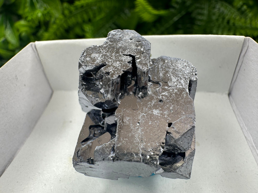 Shiny Galena Cluster: Borieva Mine, Madan, Bulgaria
