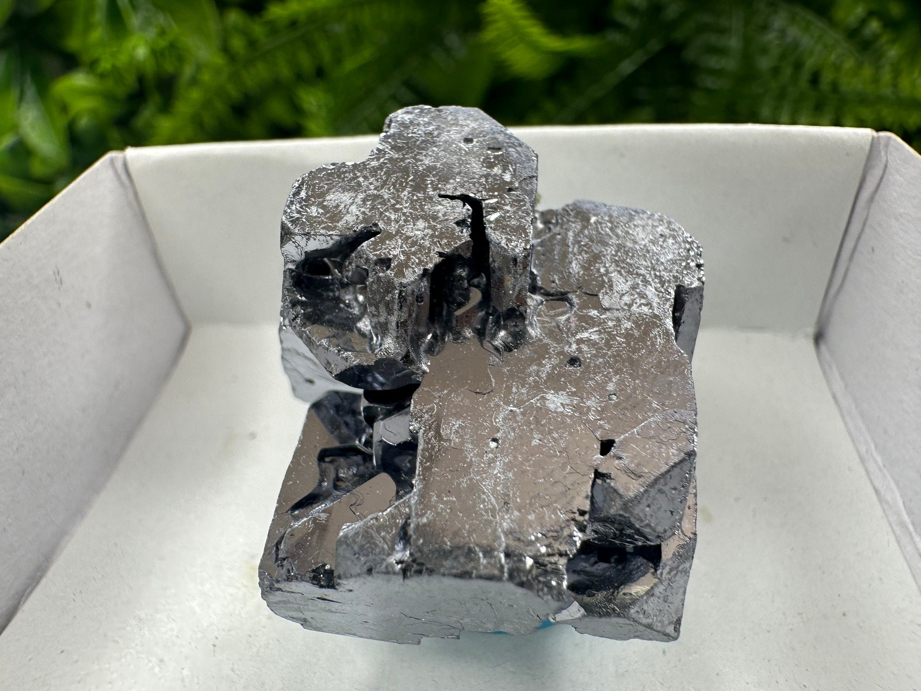 Shiny Galena Cluster: Borieva Mine, Madan, Bulgaria