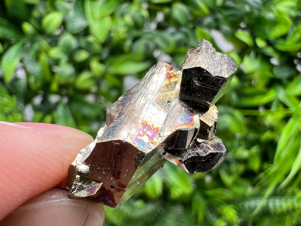 Rare Mini Pyrite Cluster, Crystallization Mineral Specimen