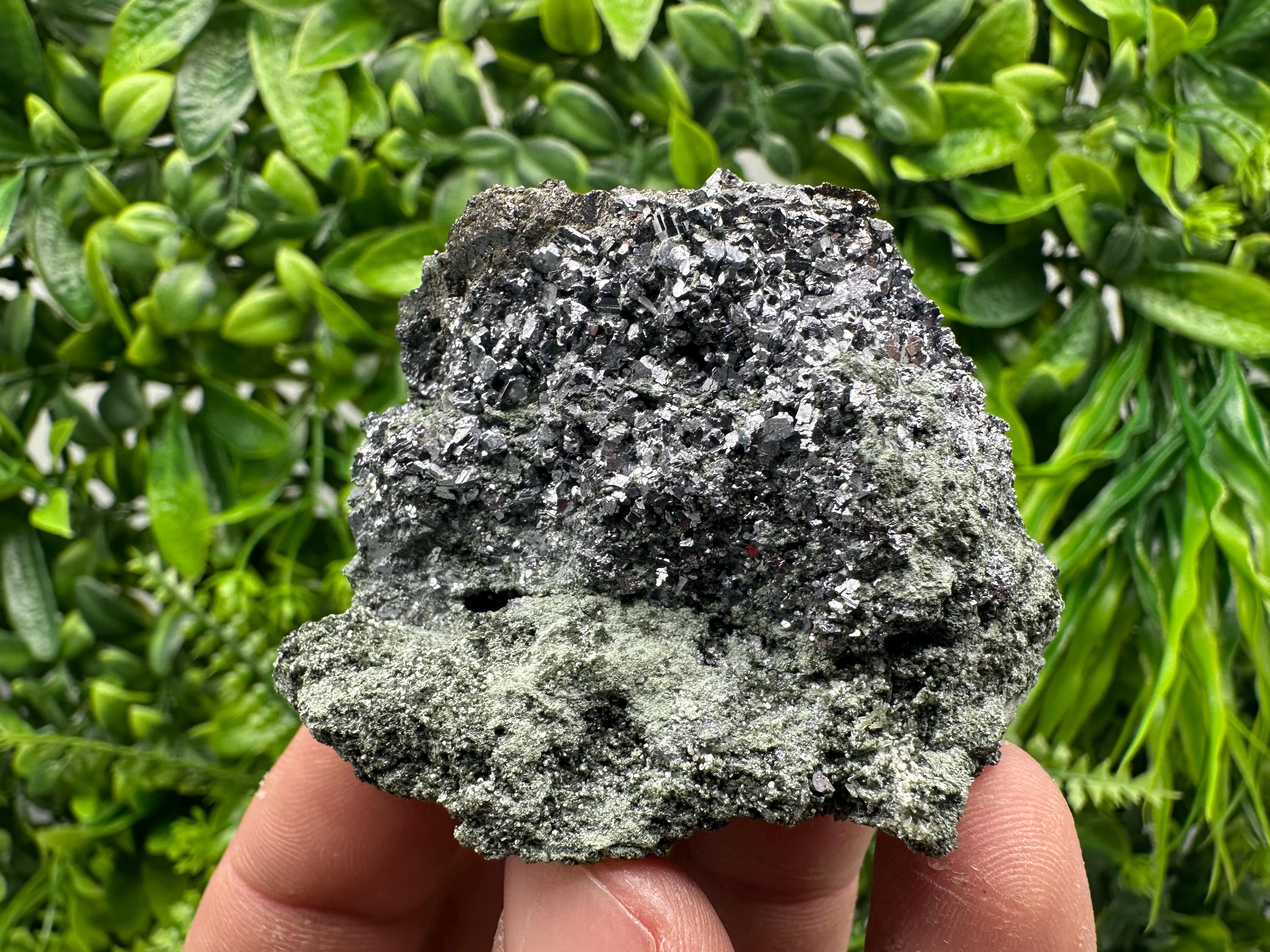 Skeletal Galena on Chlorite Matrix, Borieva Mine Mineral Specimen