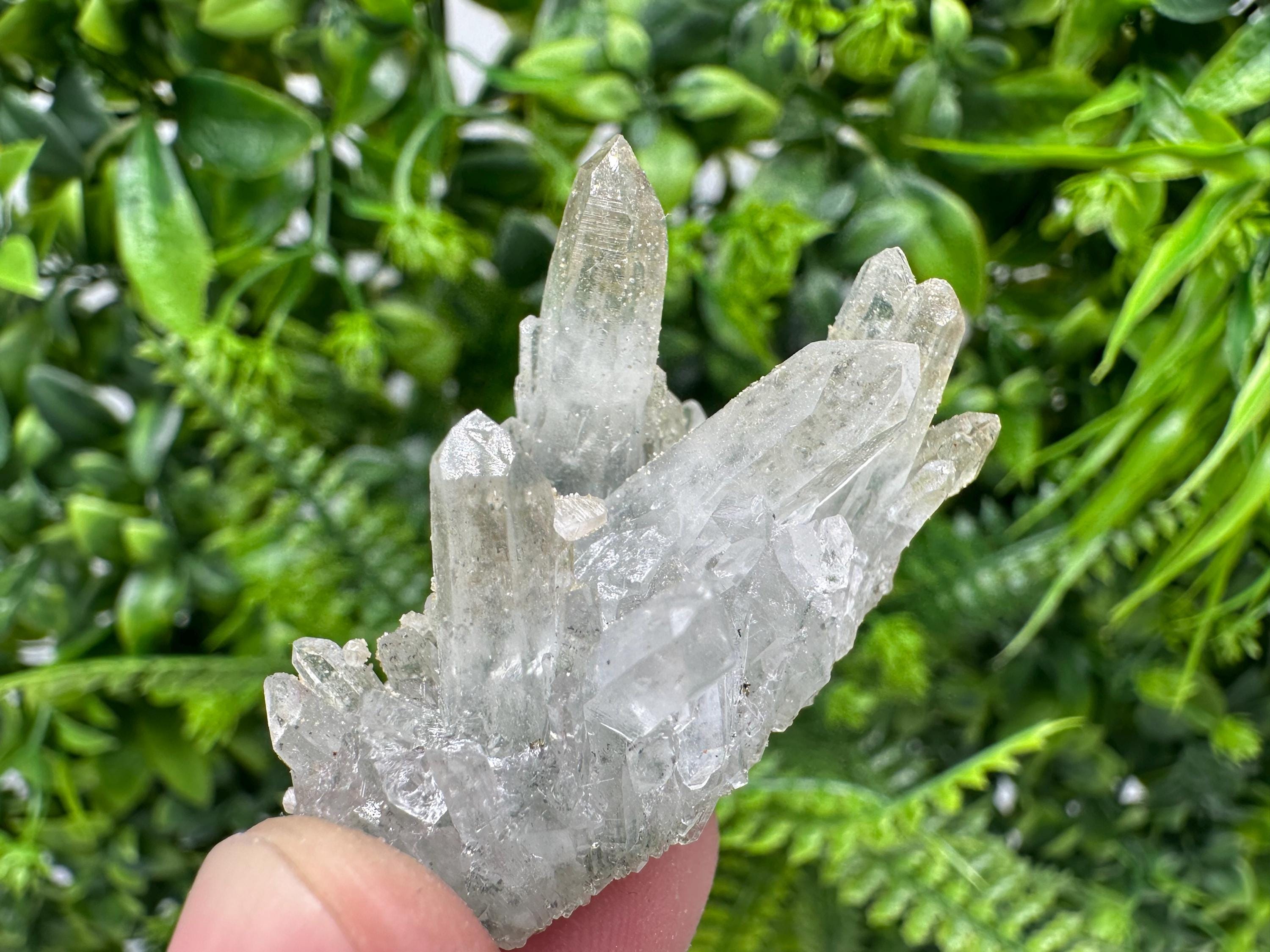 Quartz Rhodochrosite Cluster, Djurcovo Mine Mineral Specimen