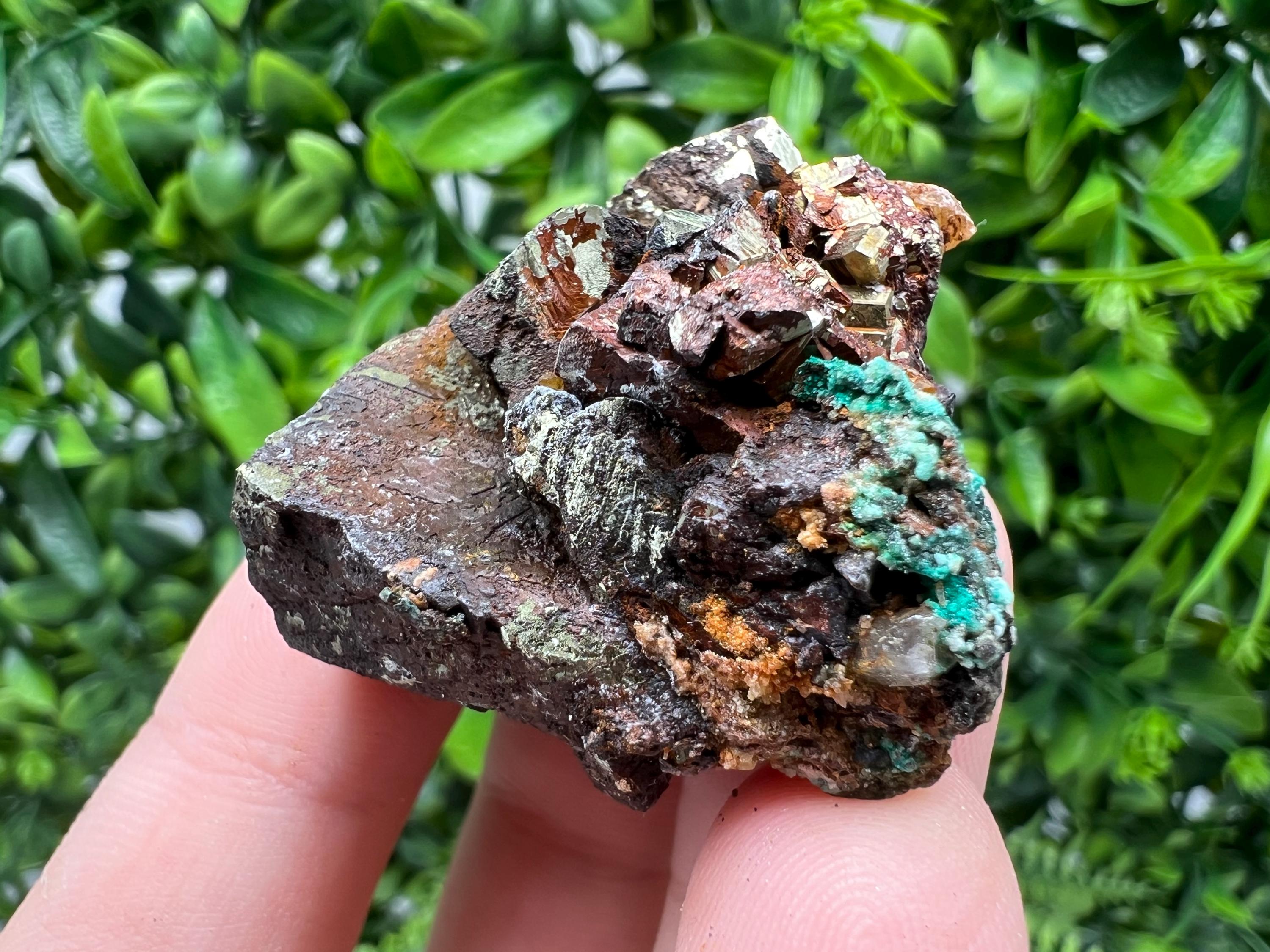 Malachite on Chalcopyrite Mineral Specimen: 9th September Mine, Bulgaria