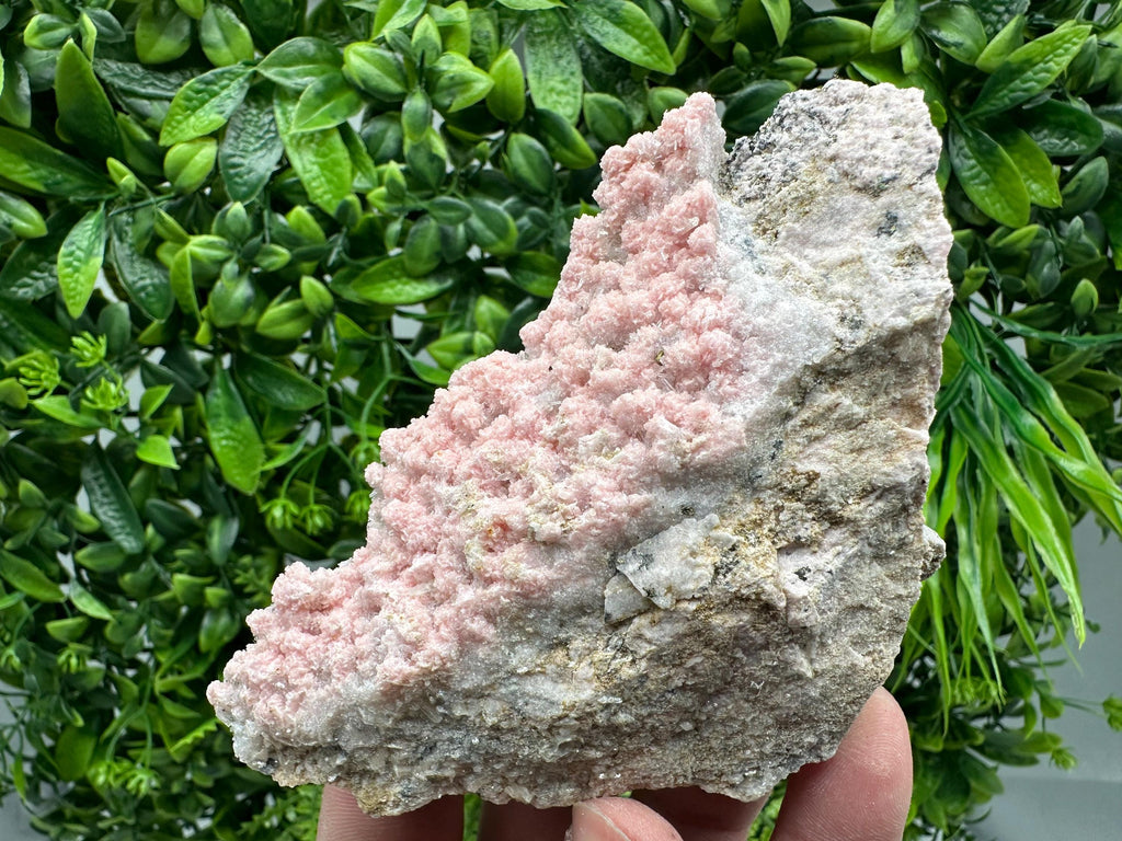 Rhodochrosite on Quartz, Starnica Mine, Bulgaria