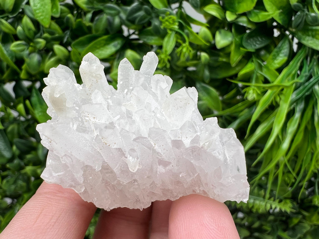 Transparent Quartz on Chlorite Matrix, Borieva Mine, Bulgaria