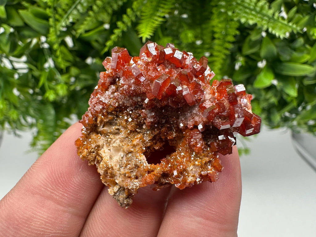 Red Vanadinite on Barite from Marocco,crystal minerals Speciment cluster Vanadinite crystal Vanadinite Geology Vanadinite cluster minerals